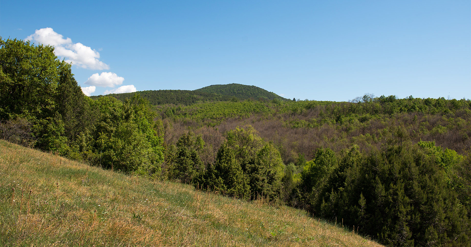 Oteshevo, Stenje (Photo license: CC BY 2.0)